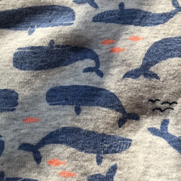 Swaddle Blankets - Picture 4 of 5